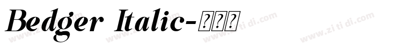 Bedger Italic字体转换 Bedger Italic字体转换